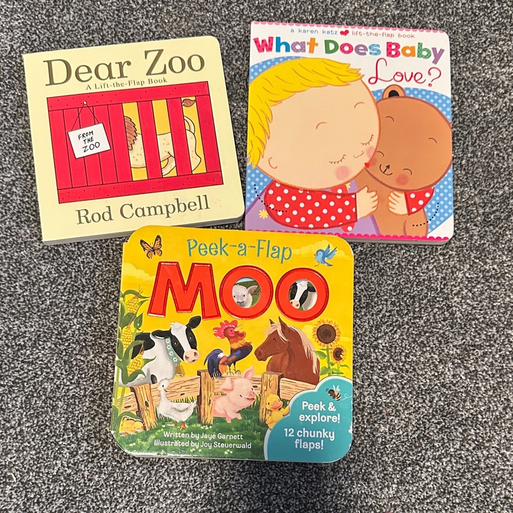 Children's Lift-the-Flap Books Set